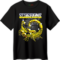 Scorpions